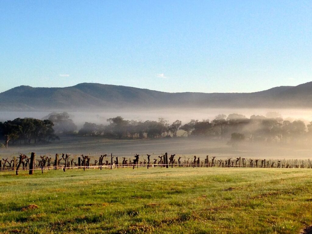 usingsmarttechnology | Mount Langi Ghiran: Explore the landscapes of Mount Langi Ghiran.