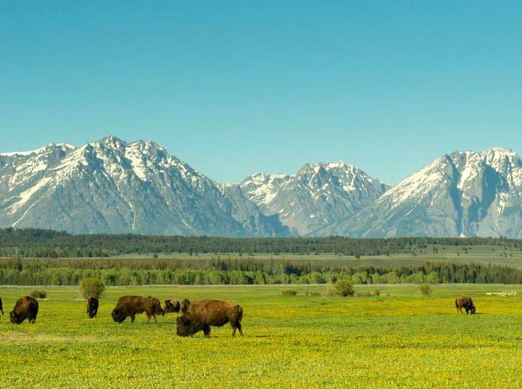 usingsmarttechnology | Northern Grampians: Explore the Northern Grampians